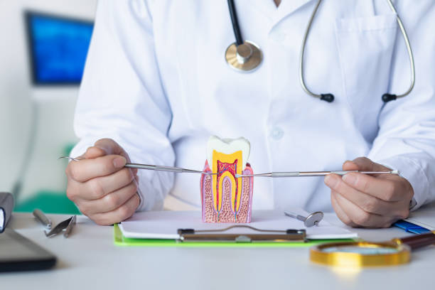 Best Emergency Wisdom Tooth Extraction in Ferndale, CA